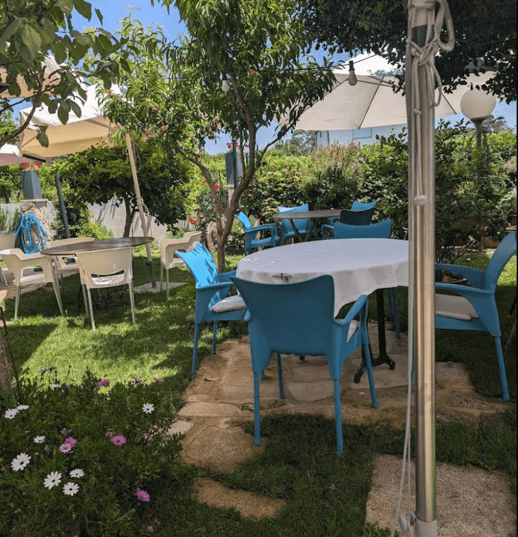 Galería La Cabaña - Imagen 5