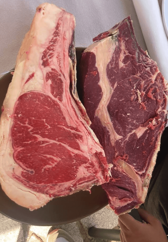 Galería La Cabaña - Imagen 17